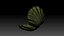 3D model shell