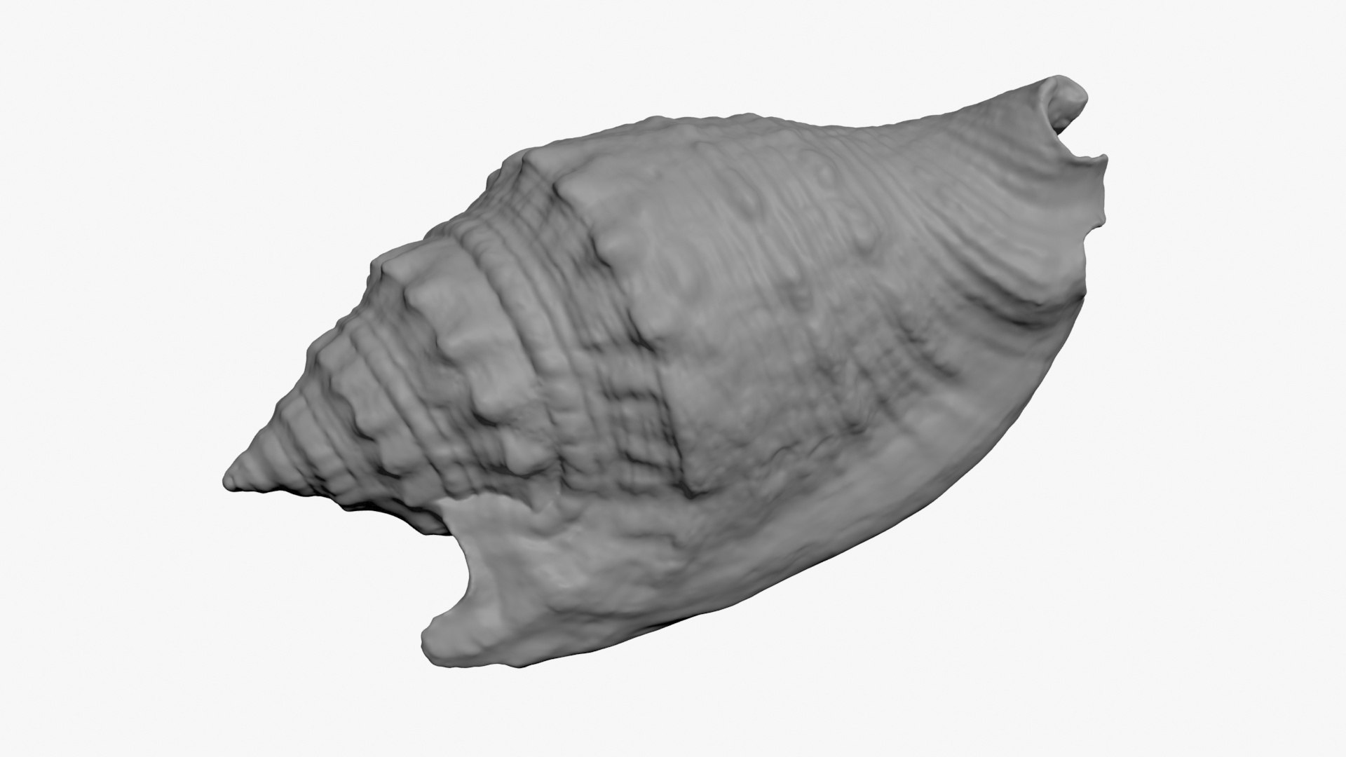 Euprotomus Aurisdianae 3D Print 3D https://p.turbosquid.com/ts-thumb/2W/cCVdPf/BD/euproaurisdianae_a0002/jpg/1726655482/1920x1080/fit_q87/d3409433b9e40658ab0c6580b1a6cb72225eb16e/euproaurisdianae_a0002.jpg