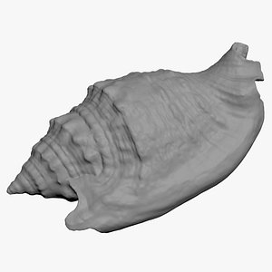 Euprotomus Aurisdianae 3D Print 3D