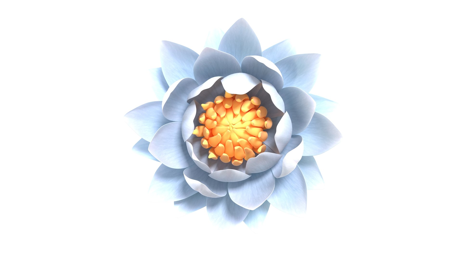 3D Realistic Nymphaea Siam White 3D Model - High-Quality 4K PBR Asset https://p.turbosquid.com/ts-thumb/2W/gBQVw8/7o/6/jpg/1741275961/1920x1080/fit_q87/f222677f4aff68697ba001f00dacb8c247fb16af/6.jpg