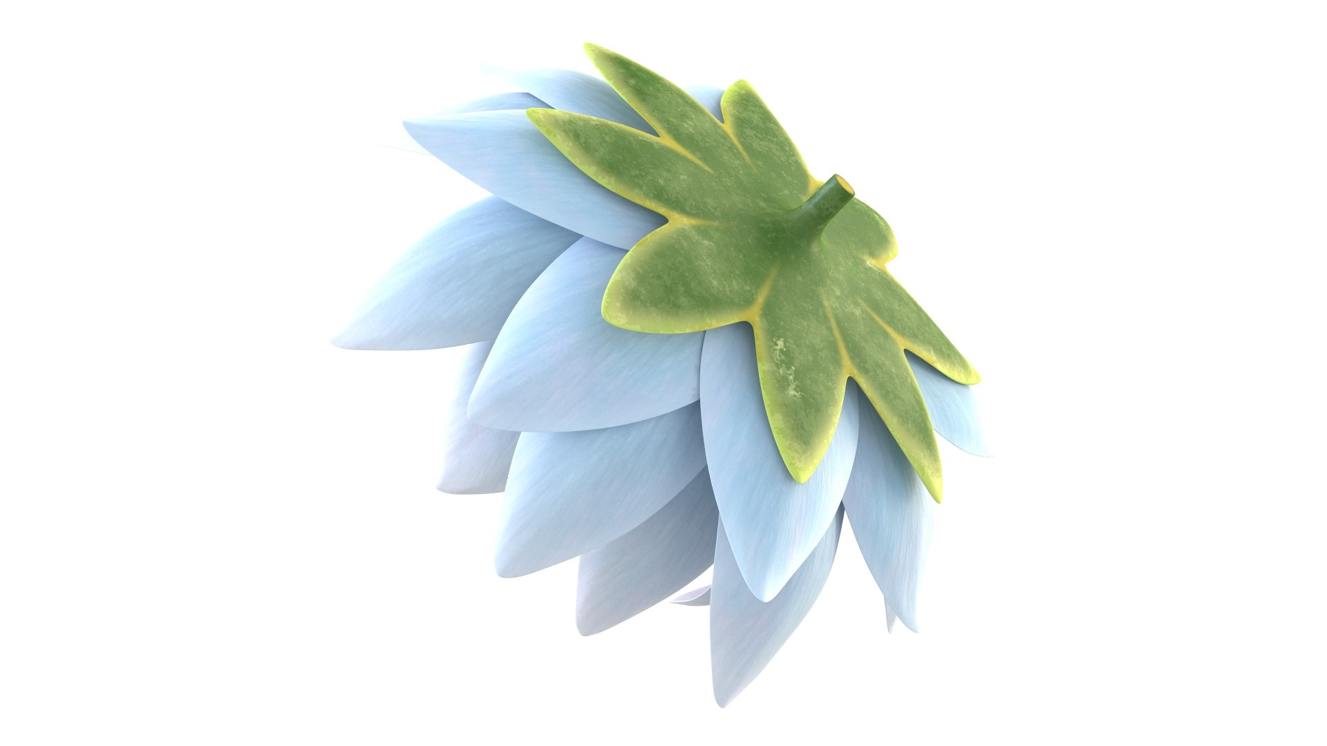 3D Realistic Nymphaea Siam White 3D Model - High-Quality 4K PBR Asset https://p.turbosquid.com/ts-thumb/2W/gBQVw8/8K/5/jpg/1741275961/1920x1080/fit_q87/29137c36c88bcefd176d6ab08ae45a85c638ebf3/5.jpg