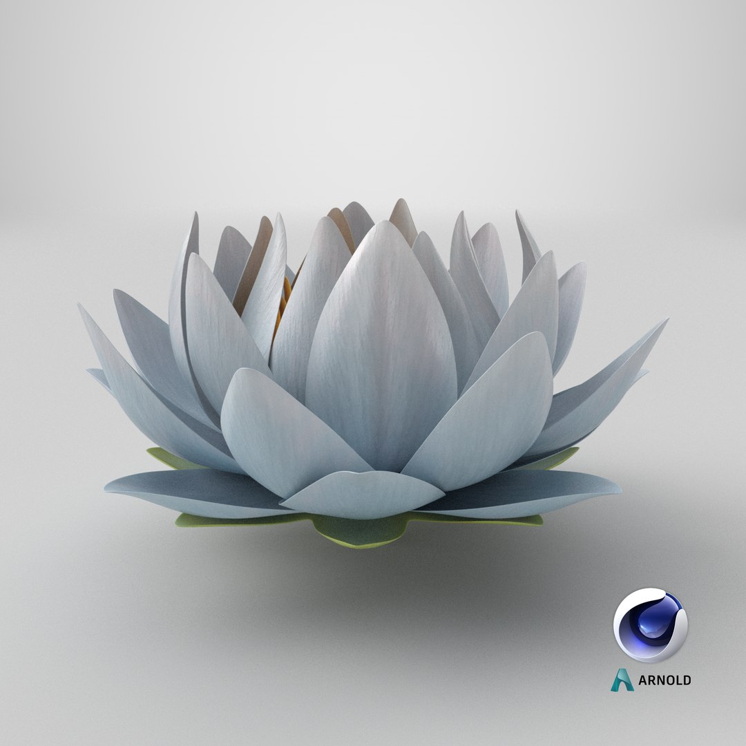 3D Realistic Nymphaea Siam White 3D Model - High-Quality 4K PBR Asset https://p.turbosquid.com/ts-thumb/2W/gBQVw8/AT/stemcell_cinema_4d_arnold_render/png/1741631915/1920x1080/fit_q87/ad744a6eec1c7001aecf8cc9fcf868a802a3f9ff/stemcell_cinema_4d_arnold_render.jpg