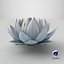 リアルな Nymphaea Siam White 3D モデル - 高品質 4K PBR アセット