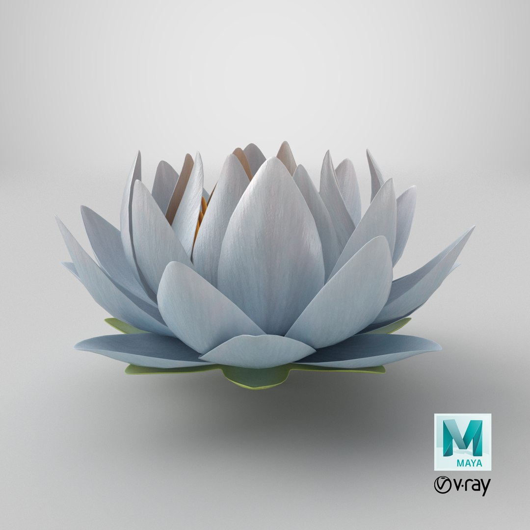 3D Realistic Nymphaea Siam White 3D Model - High-Quality 4K PBR Asset https://p.turbosquid.com/ts-thumb/2W/gBQVw8/D2/stemcell_maya_vray_render/png/1741631914/1920x1080/fit_q87/1780023dd362ad822bd6149d8048f172150dafc6/stemcell_maya_vray_render.jpg
