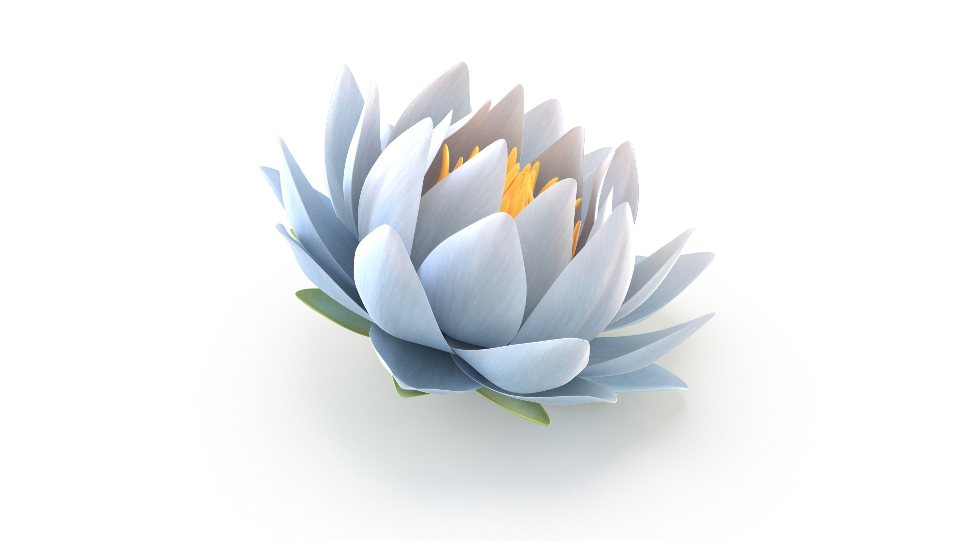 3D Realistic Nymphaea Siam White 3D Model - High-Quality 4K PBR Asset https://p.turbosquid.com/ts-thumb/2W/gBQVw8/KO/r/jpg/1741276033/1920x1080/turn_fit_q99/0c4d1c183a4b951c0dfc2ac6e52eef28ae7e0c27/r-1.jpg