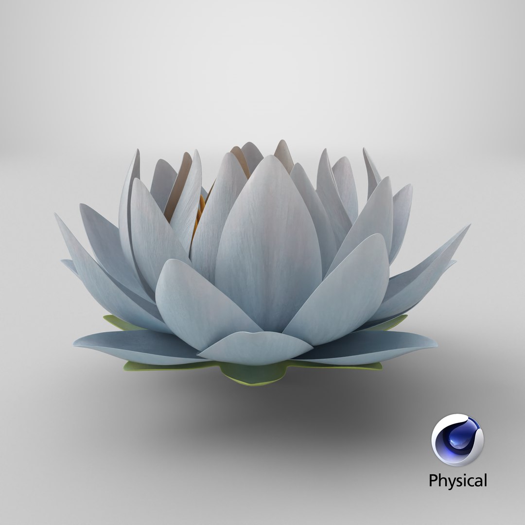 3D Realistic Nymphaea Siam White 3D Model - High-Quality 4K PBR Asset https://p.turbosquid.com/ts-thumb/2W/gBQVw8/Q0/stemcell_cinema_4d_physical_render/png/1741631917/1920x1080/fit_q87/4d05c3a1828476522813ea74019300a0e4d7b105/stemcell_cinema_4d_physical_render.jpg