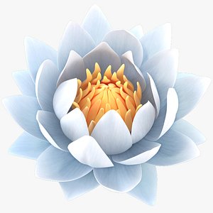 3D Realistic Nymphaea Siam White 3D Model - High-Quality 4K PBR Asset
