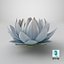 リアルな Nymphaea Siam White 3D モデル - 高品質 4K PBR アセット