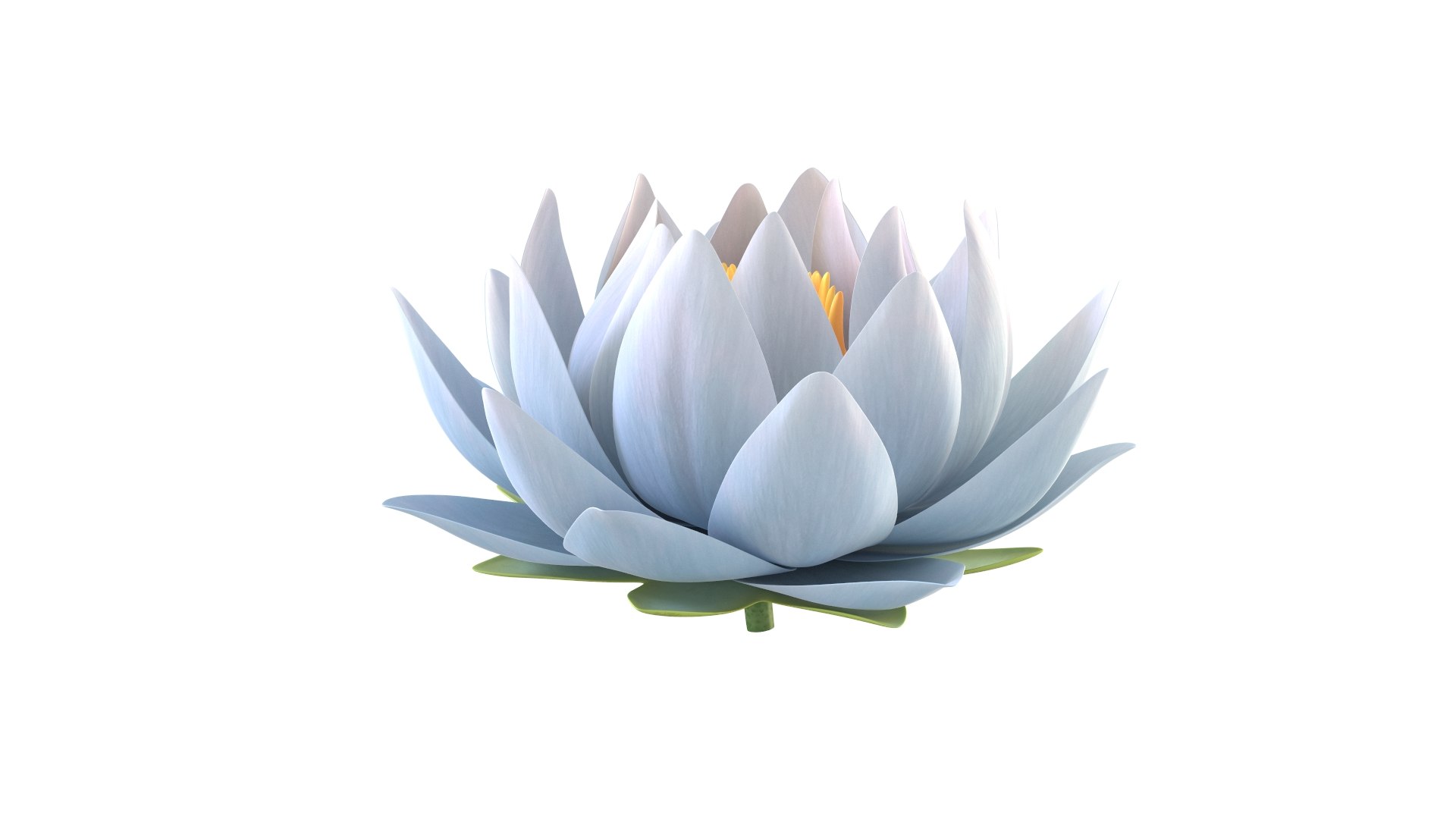 3D Realistic Nymphaea Siam White 3D Model - High-Quality 4K PBR Asset https://p.turbosquid.com/ts-thumb/2W/gBQVw8/oz/3/jpg/1741275960/1920x1080/fit_q87/4ca53b6a190dcd9a4cab31d5ab2c3e650ccd4354/3.jpg