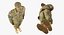 아프리카 계 미국인 군인 Camofluage Fur Rigged