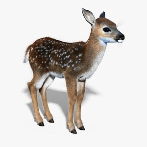 Fawn(Baby Deer)(FUR)