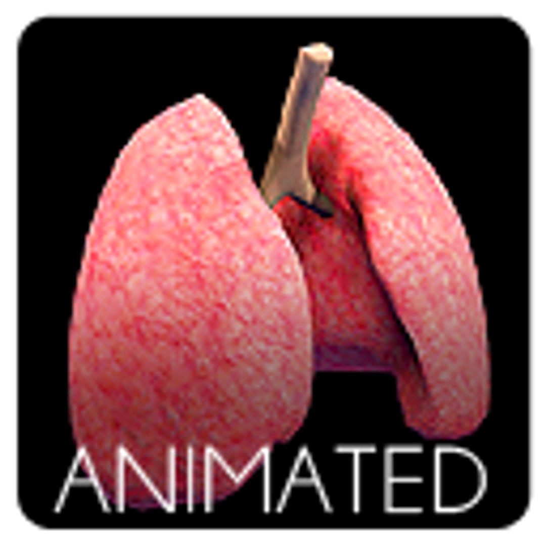 lung mat 3d model https://p.turbosquid.com/ts-thumb/2W/rRg3re/f1aIJ7qT/icon/png/1399349302/1920x1080/fit_q87/a70fc258f325cc07687ecb7d551f4049e5963d9a/icon.jpg