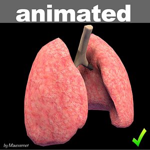 lung mat 3d model
