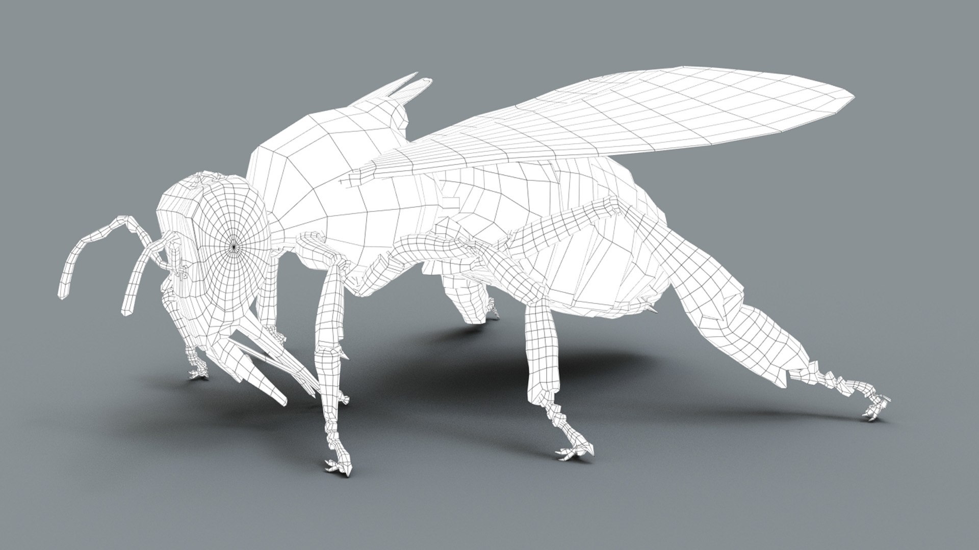 HoneyBee  XGEN ANIMATED 3D model https://p.turbosquid.com/ts-thumb/2W/wlaerP/D3/wire01b.jpg46b27ff5e4024b8da023bf8df2824579defaulthq/jpg/1634700888/1920x1080/fit_q87/fabe39ebeea09496d5d1071eea2e2db78e7e4a29/wire01b.jpg46b27ff5e4024b8da023bf8df2824579defaulthq.jpg