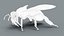 HoneyBee  XGEN ANIMATED 3D model