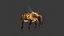 HoneyBee  XGEN ANIMATED