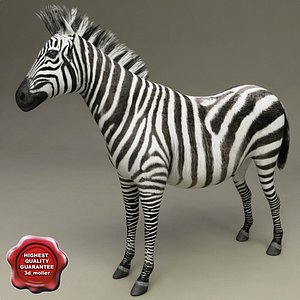 3d model zebra modelled