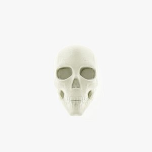 3D Skull