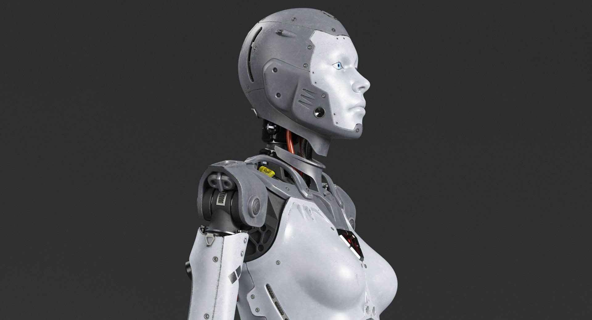 robot rig w 3D model https://p.turbosquid.com/ts-thumb/2X/CtAbZW/cNPYuBW5/hnr_008/jpg/1552565570/1920x1080/fit_q87/3814dd5bf945777da95074405d751e12da4085d7/hnr_008.jpg