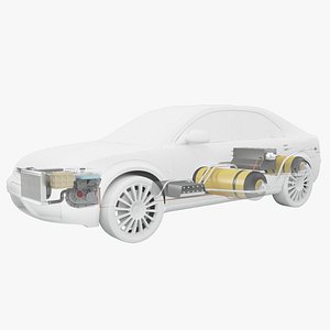Hydrogen Fuel Cell System