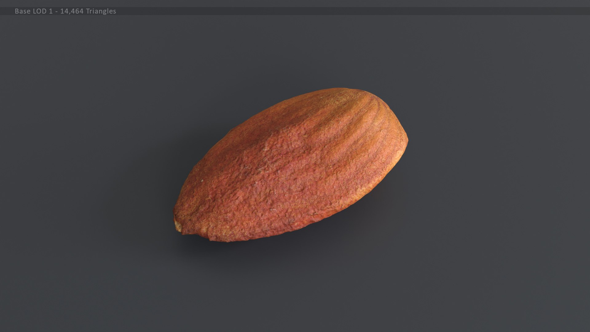 Almond Kernel 2 3D Model TurboSquid 2145407