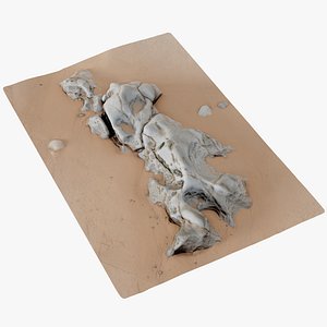 rock scan beach 3D model