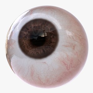 Realistic Human Brown Eye v2 3D