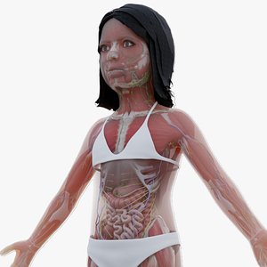 Full Kid Girl Anatomy Cinema Static In Blender 3D