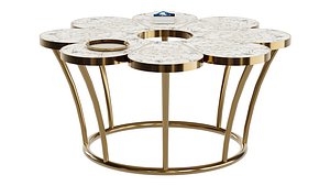 Coffee Table with Storage model