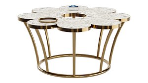 Coffee Table with Storage