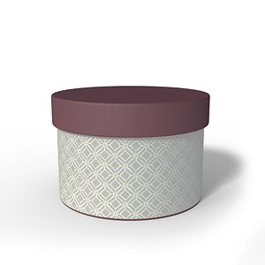 3D model box contains