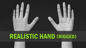 Realistic Hand-Rigged