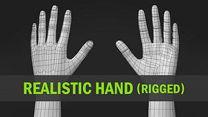 Realistic Hand-Rigged
