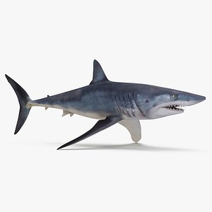 3D model mako shark