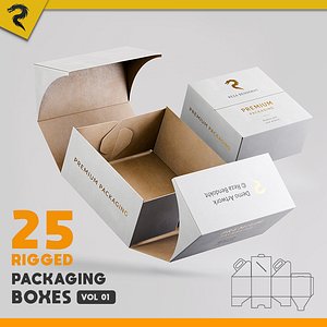3D 25 Rigged Packaging Boxes  Vol 01 model