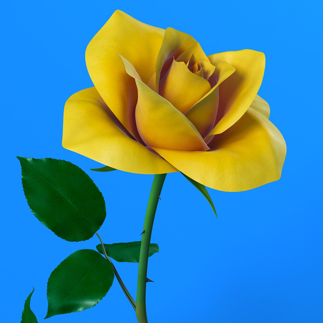 3d Model Rose Flower