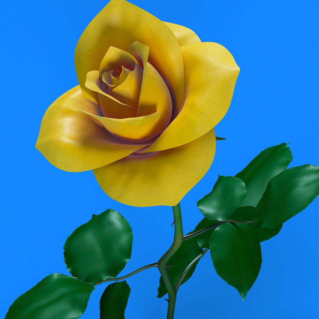 3d Model Rose Flower