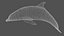 Dolphin OBJ 3D model