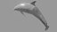 Dolphin OBJ 3D model