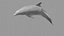 Dolphin OBJ 3D model