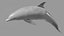 Dolphin OBJ 3D model