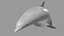 Dolphin OBJ 3D model