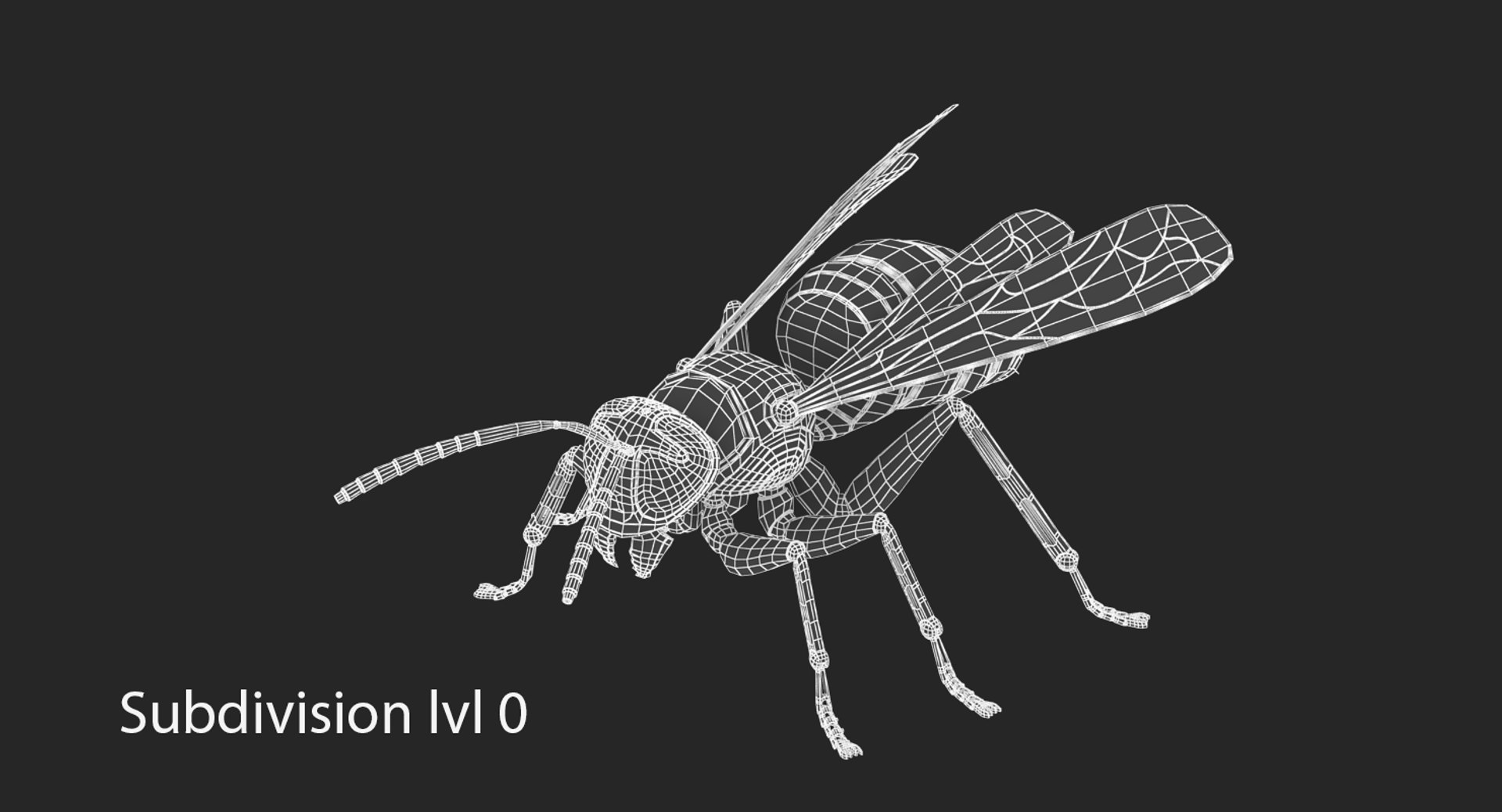 robotic wasp model https://p.turbosquid.com/ts-thumb/2Y/gK2OVj/EudRMCLO/0_1/png/1517502764/1920x1080/fit_q87/dbf5efb452b527366dcab027615878e779de2582/0_1.jpg
