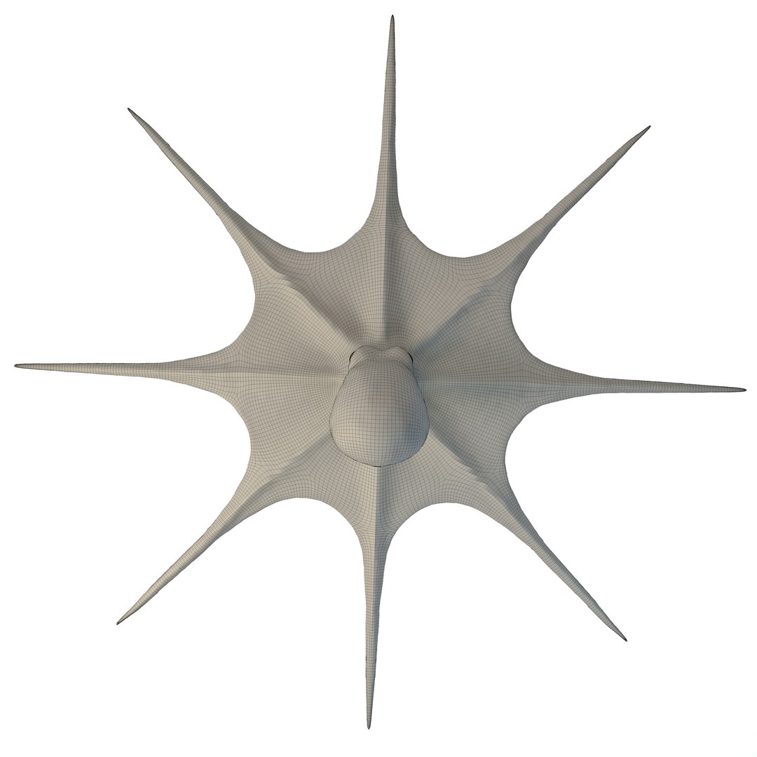 3D Octopus Model - TurboSquid 1430043