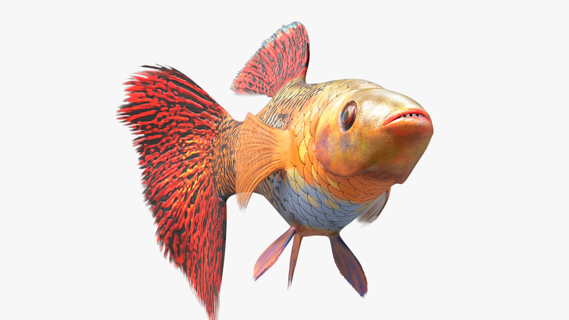 Guppy Fish Red Snake Rigged 3D Model - TurboSquid 2270722