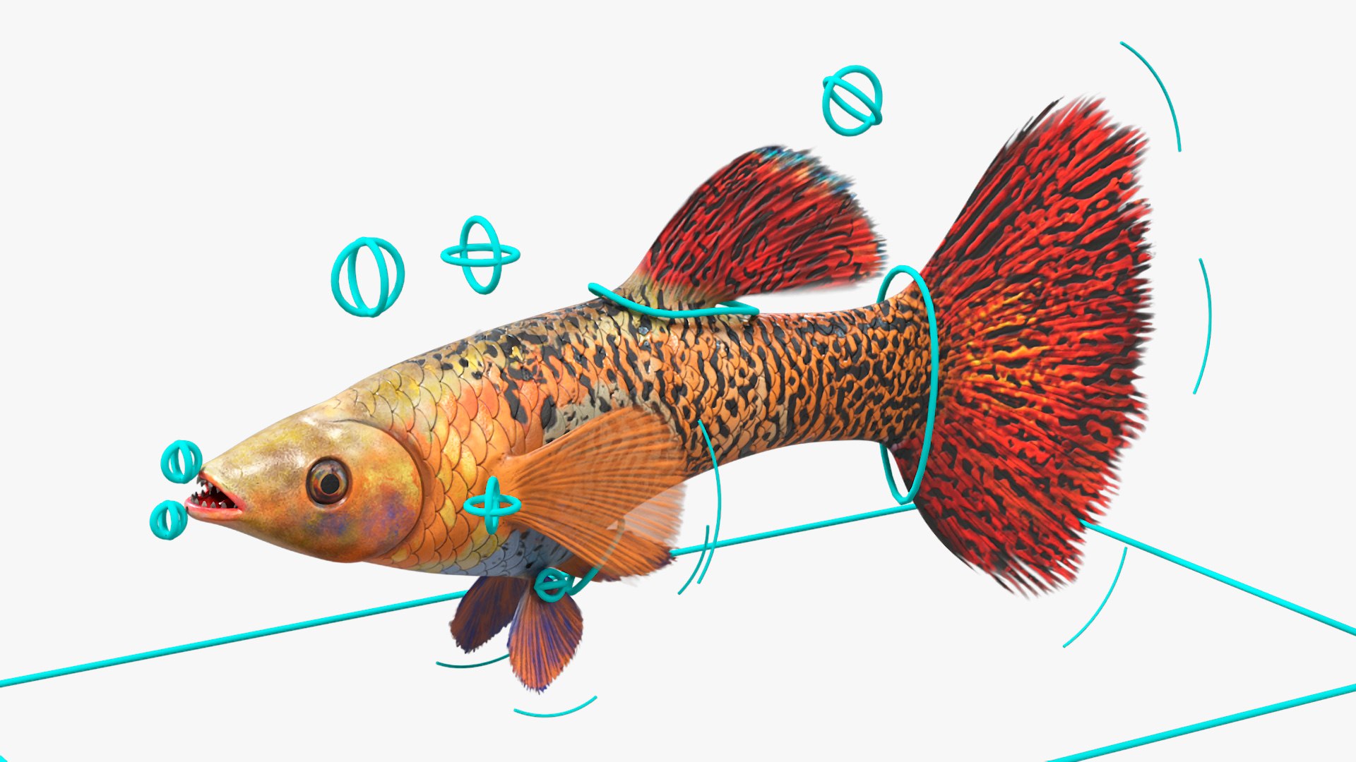 Guppy Fish Red Snake Rigged 3D Model - TurboSquid 2270722