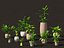 Decorative Indoor Plants Essentials 41 model