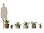 Decorative Indoor Plants Essentials 41 model