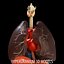 internal organs 3d model