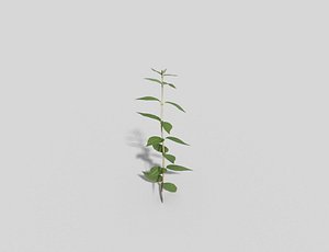 3d plant games model